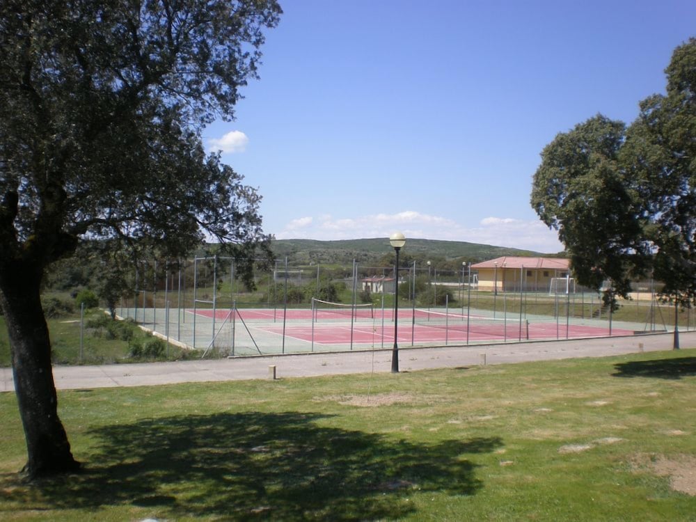 Photo 18