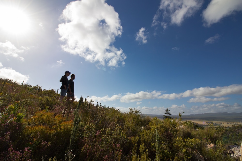 AfriCamps at Stanford Hills Estate- Glamping