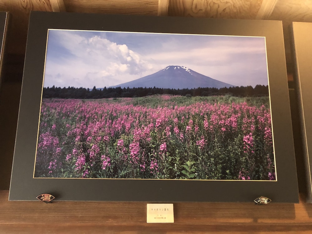 Haranoya, photo 25