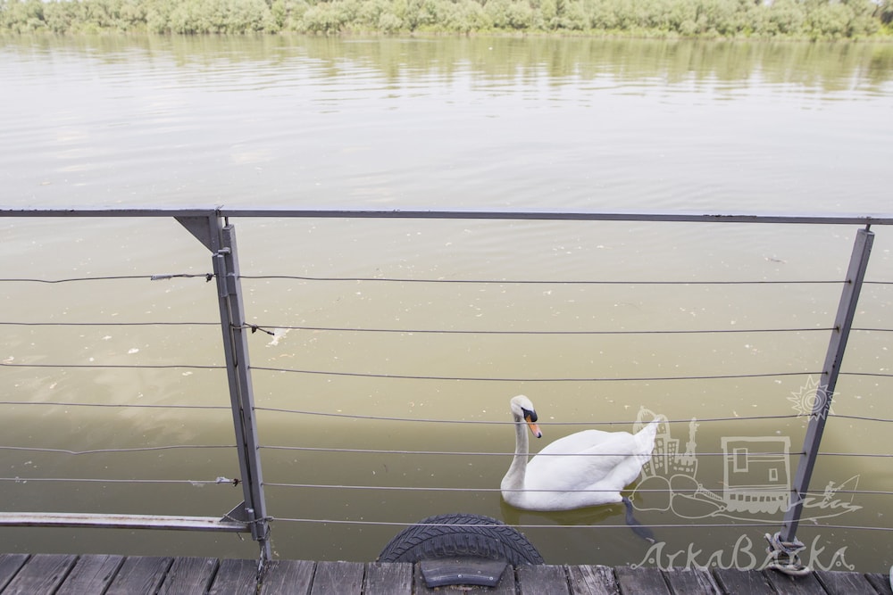 ArkaBarka Floating Hostel and Apartments