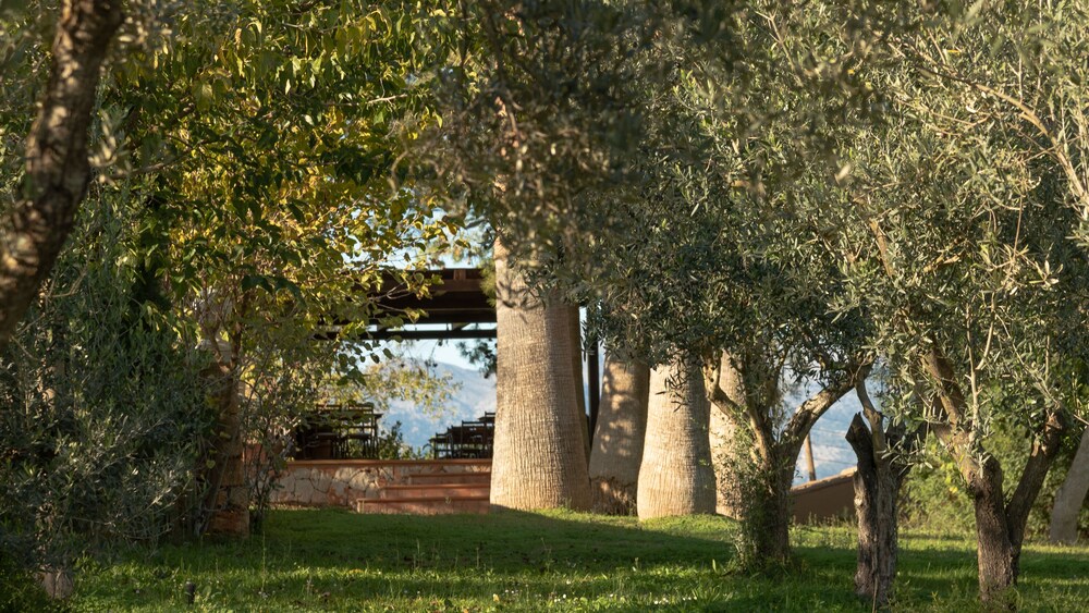 Finca Son Miranda