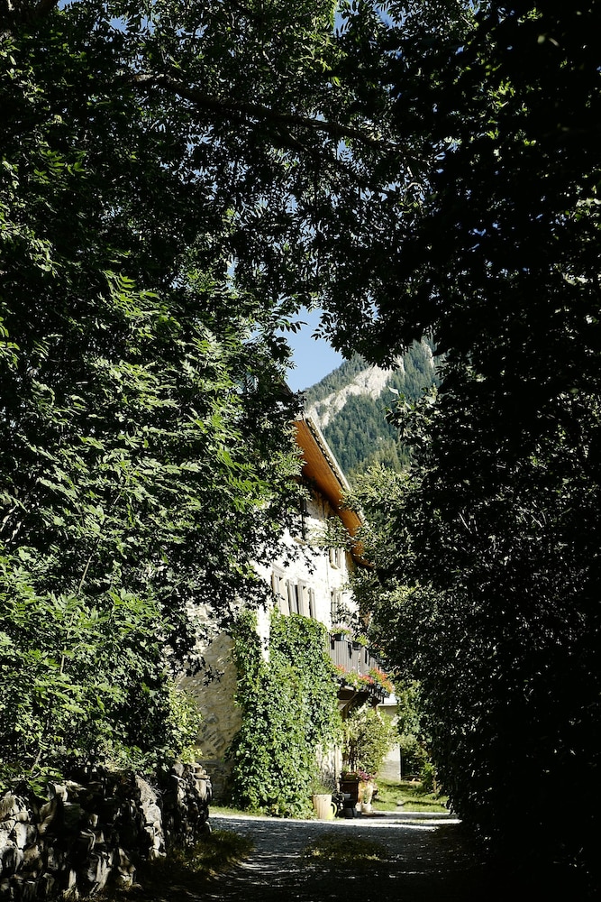 Photo 45