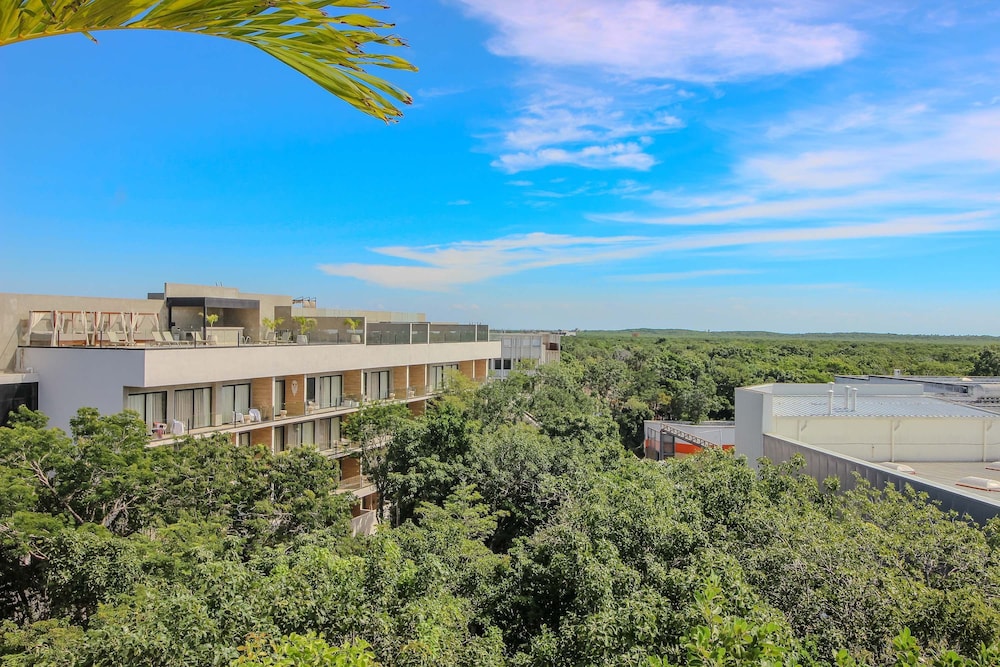 Couple s Retreat in Prime Location Rooftop Pool