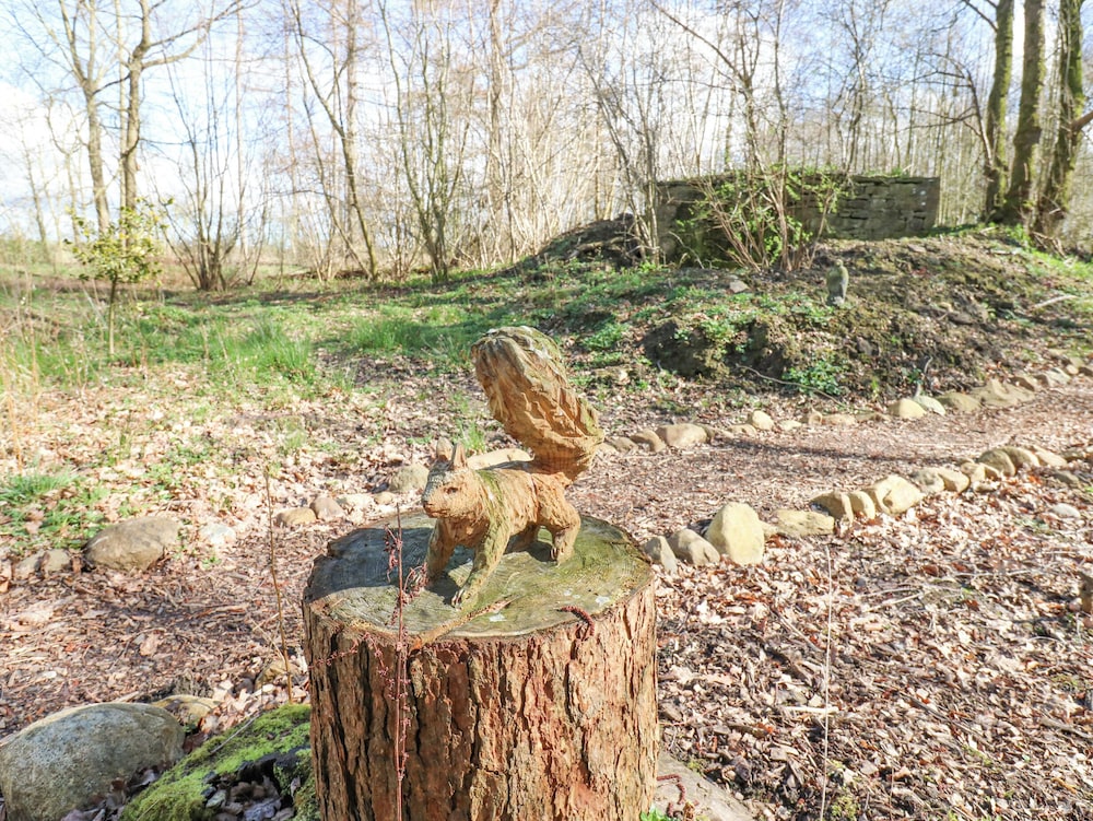 The Leveret