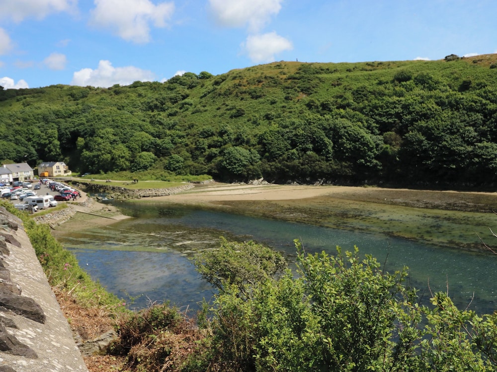 Grassholm View