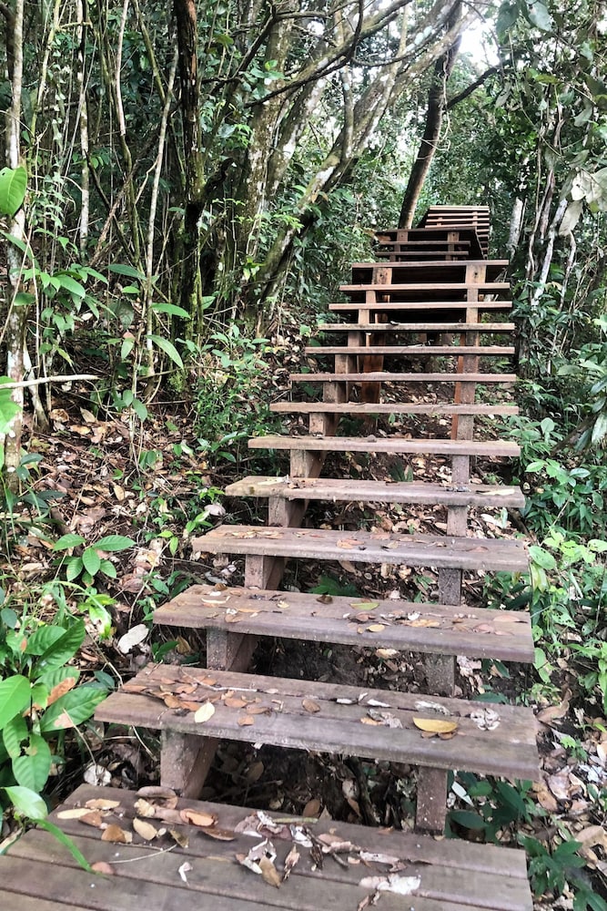 EcoLodge a casinha da floresta