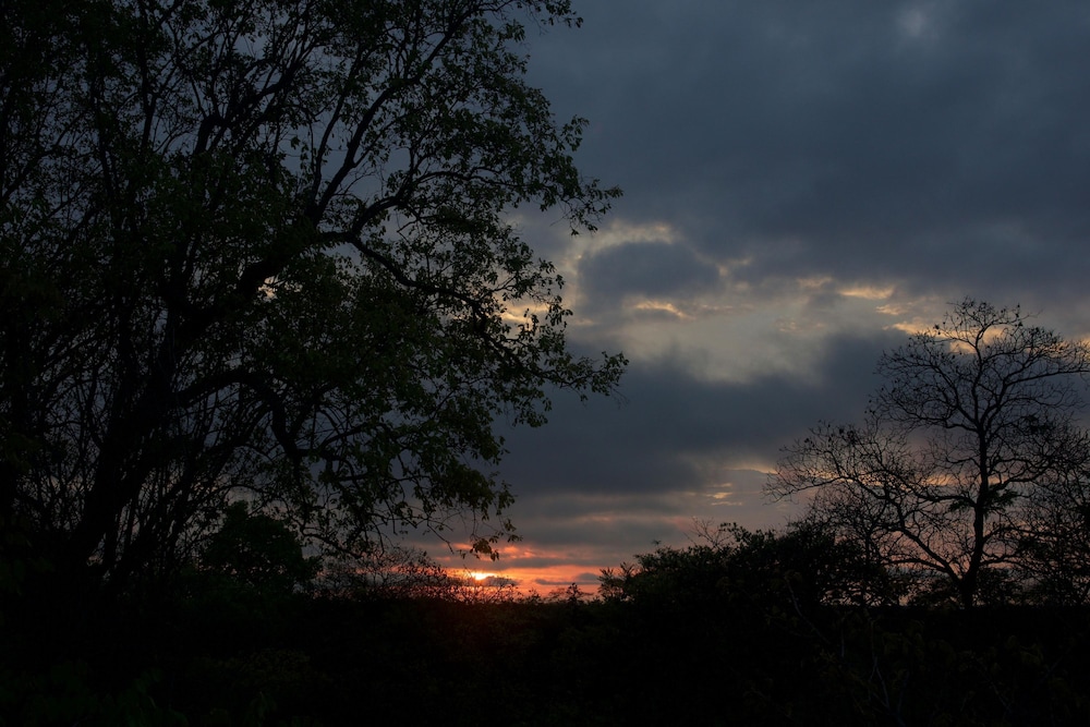 Double Lodge in Natural African Bush - 2112