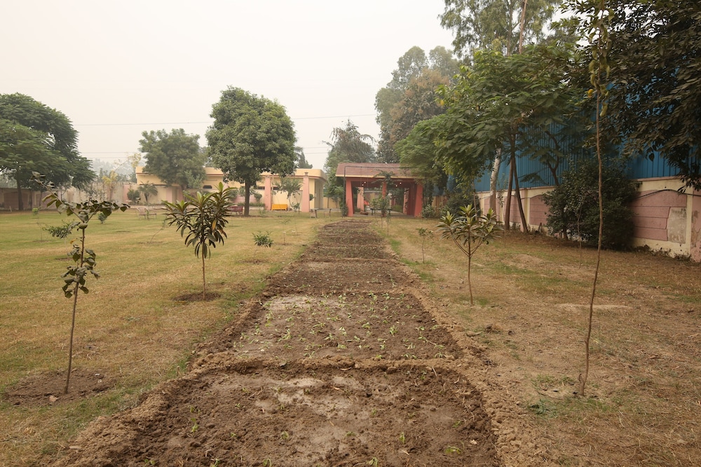 Photo 29