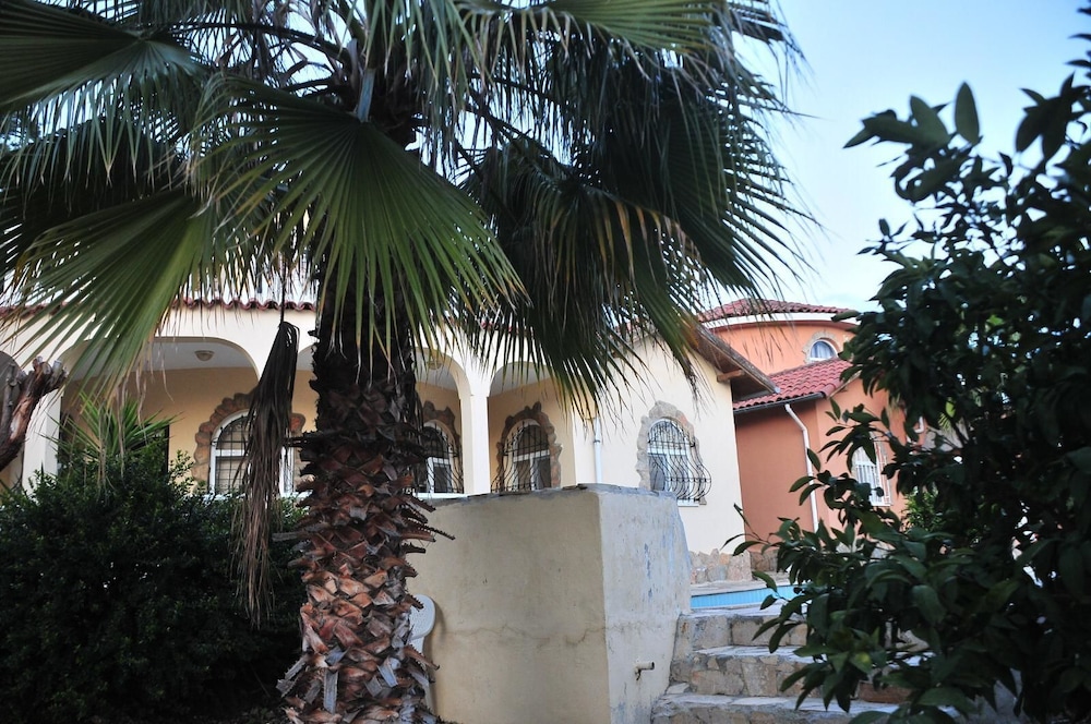 Photo 8
