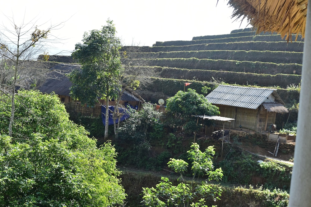 Thong Nguyen Homestay - Hostel