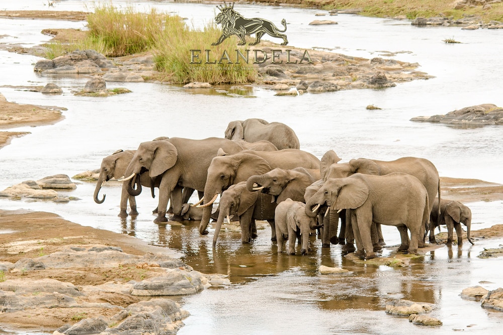 Elandela Private Game Reserve & Luxury Lodge