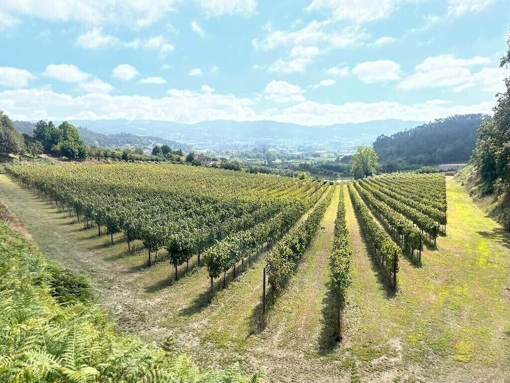 Quinta Picouto de Cima