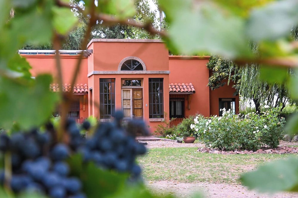 Finca La Saucina