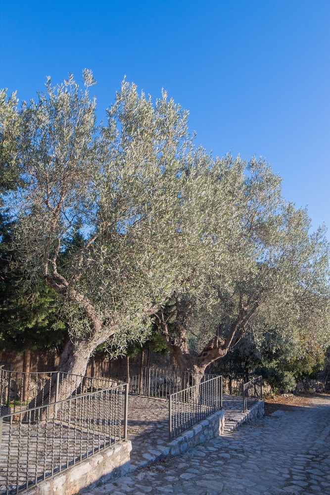 Finca Can Beneït