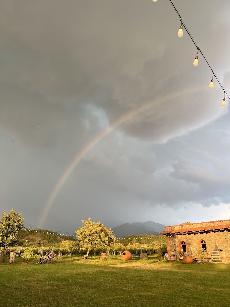 Chubini winery & cabins view 3