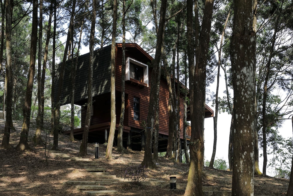 Nine Trees Forest House view 3