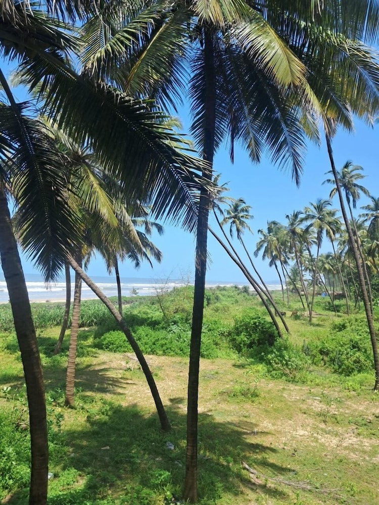 Ocean Mist Beach Homestay
