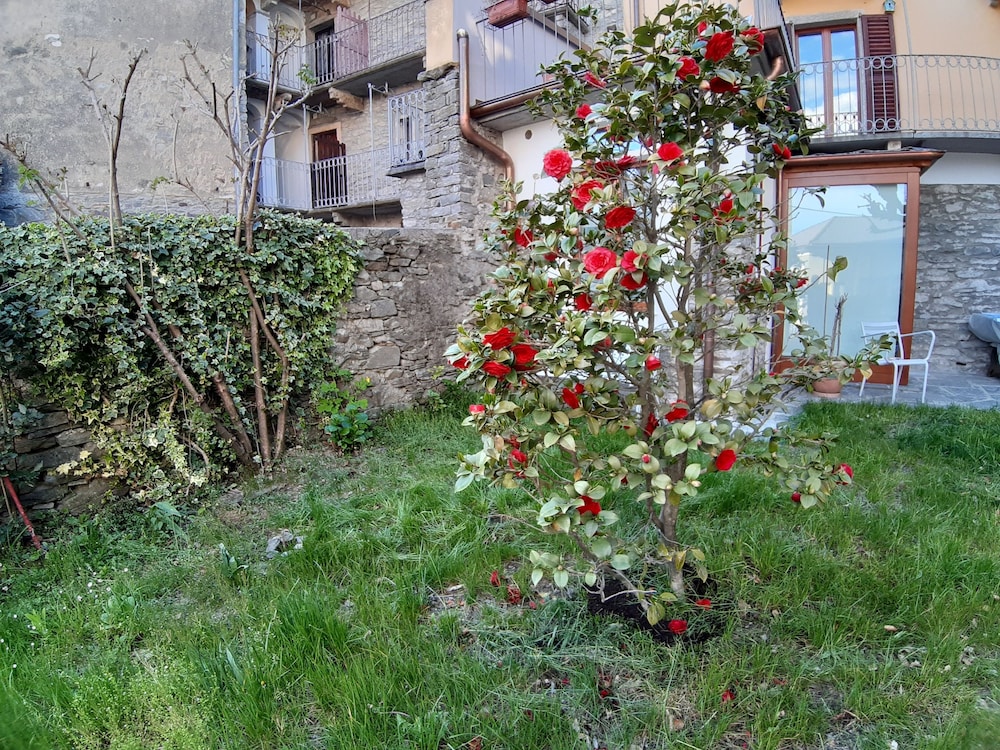 Photo 30