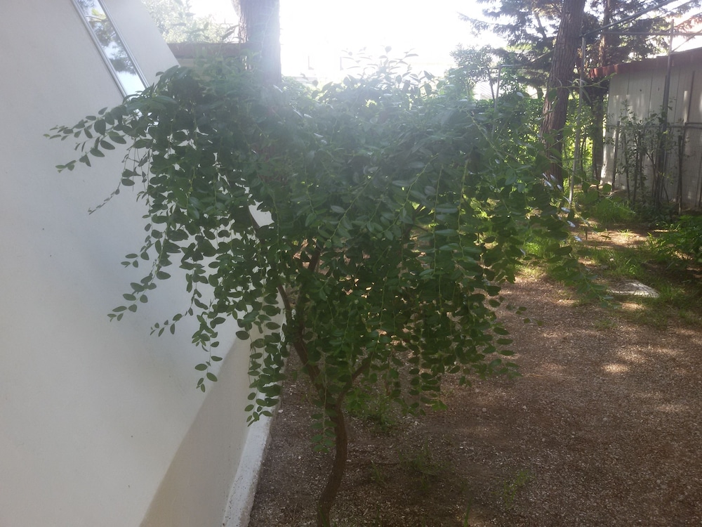 Parco delle Viole