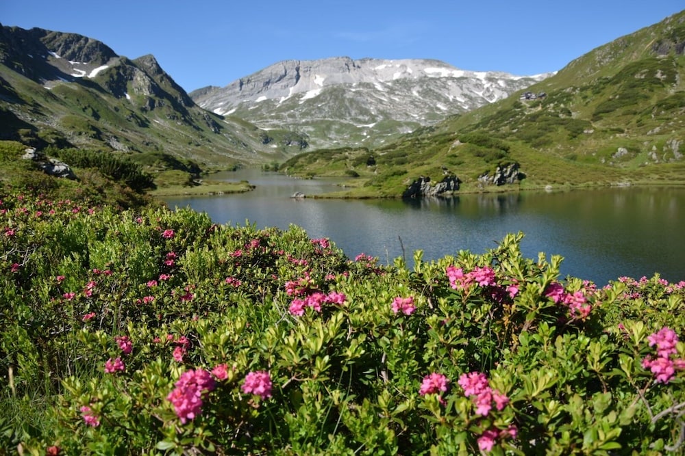 Schachneralm