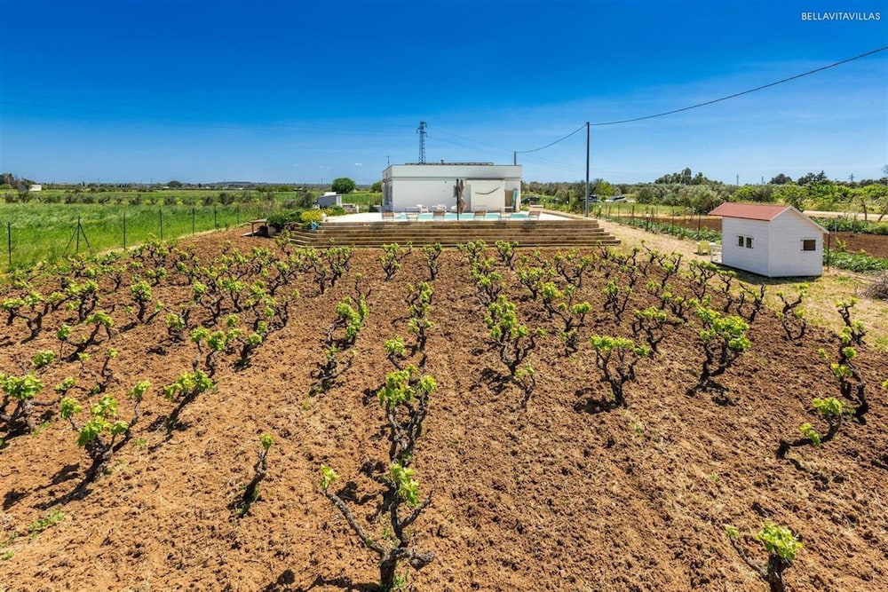 2340 Villa Il Neto by Perle di Puglia photo 4