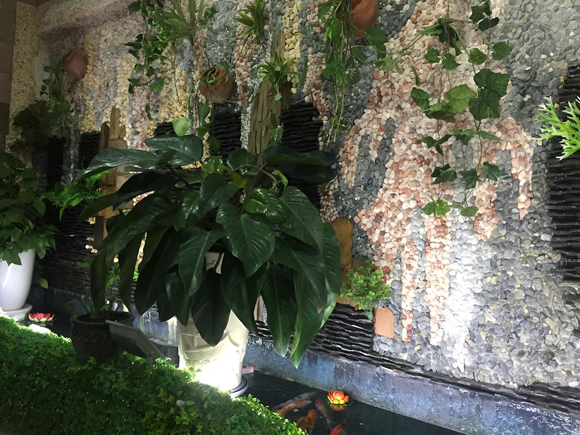 Thanh Thao Hotel
