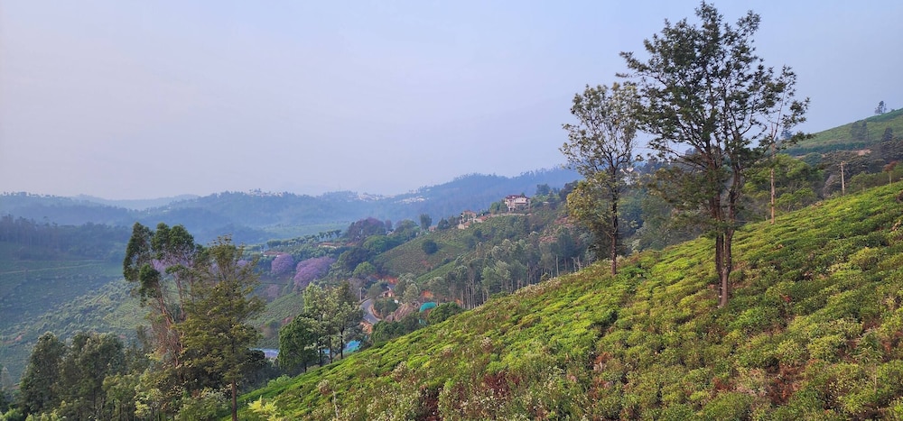The Ark Haven Ooty by Scenic Serenity Stays