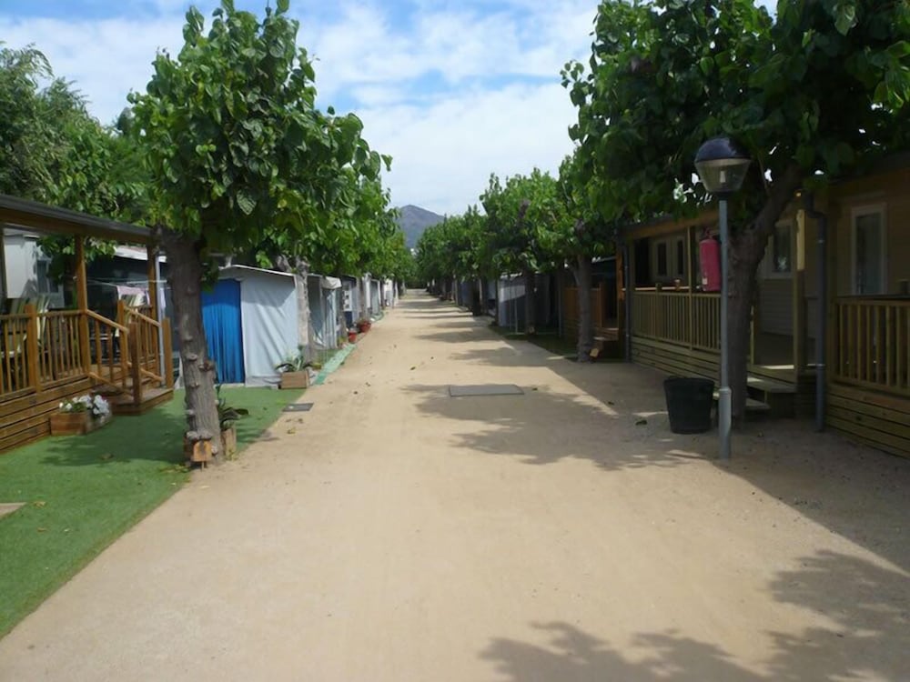 Camping El Camell