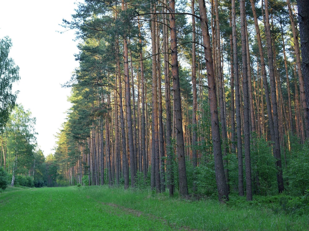 Photo 25
