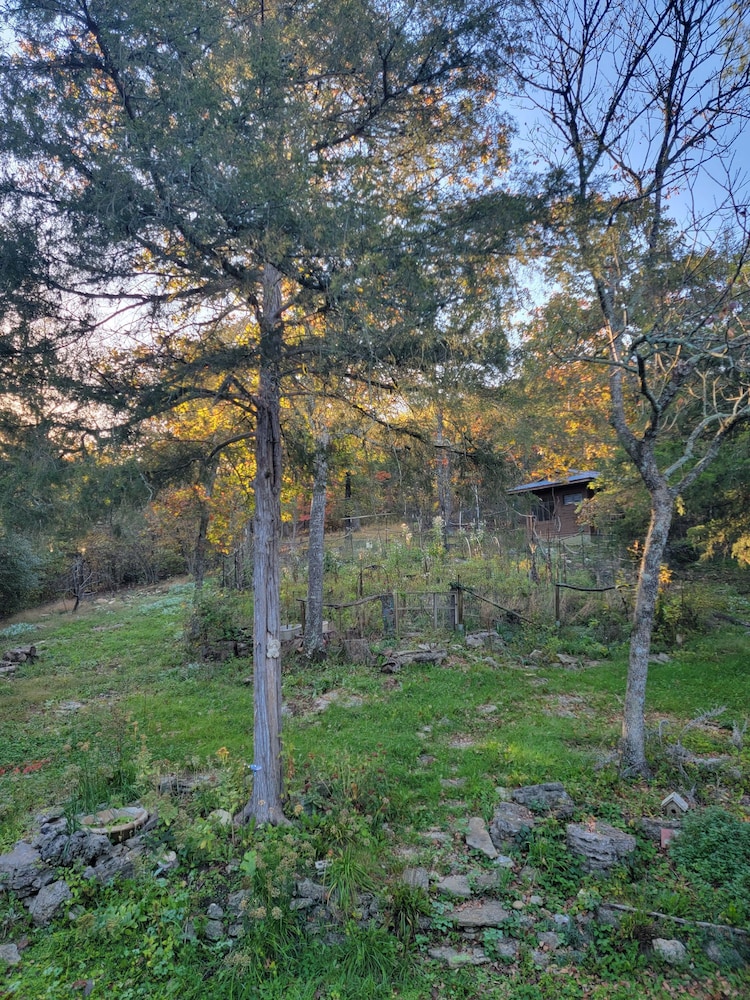 Whispering Hollow in Eureka Springs