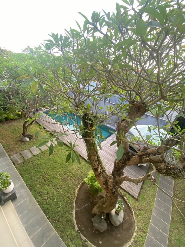 Lotus Canggu view 3