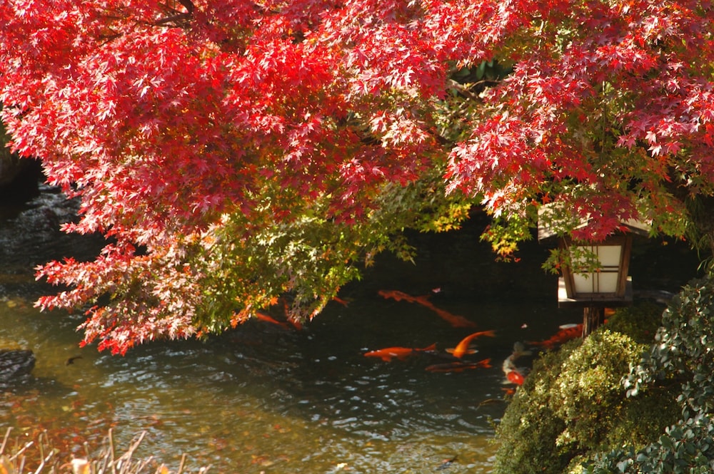 Atami Taikansou