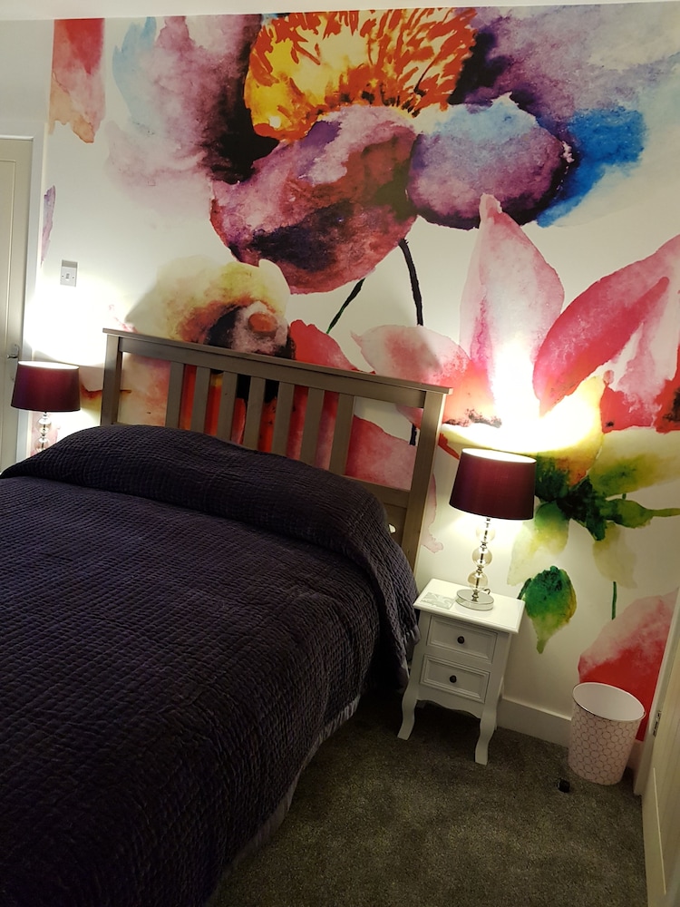The Snug