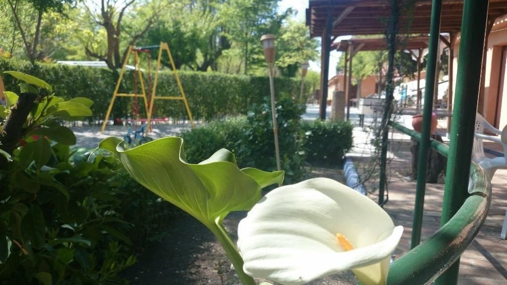 Photo 28
