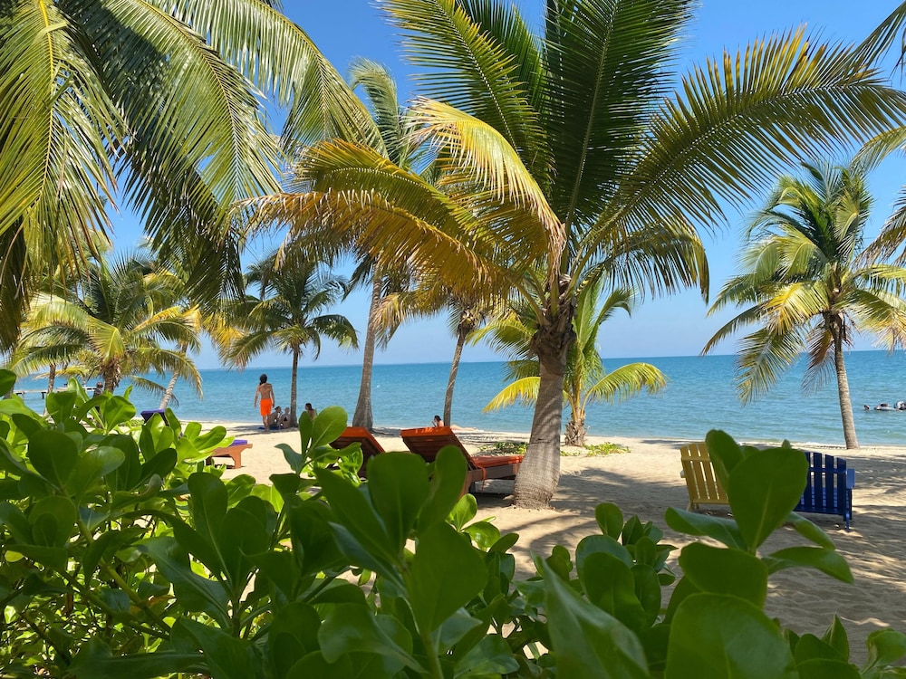 Coconut Row Boutique Hotel