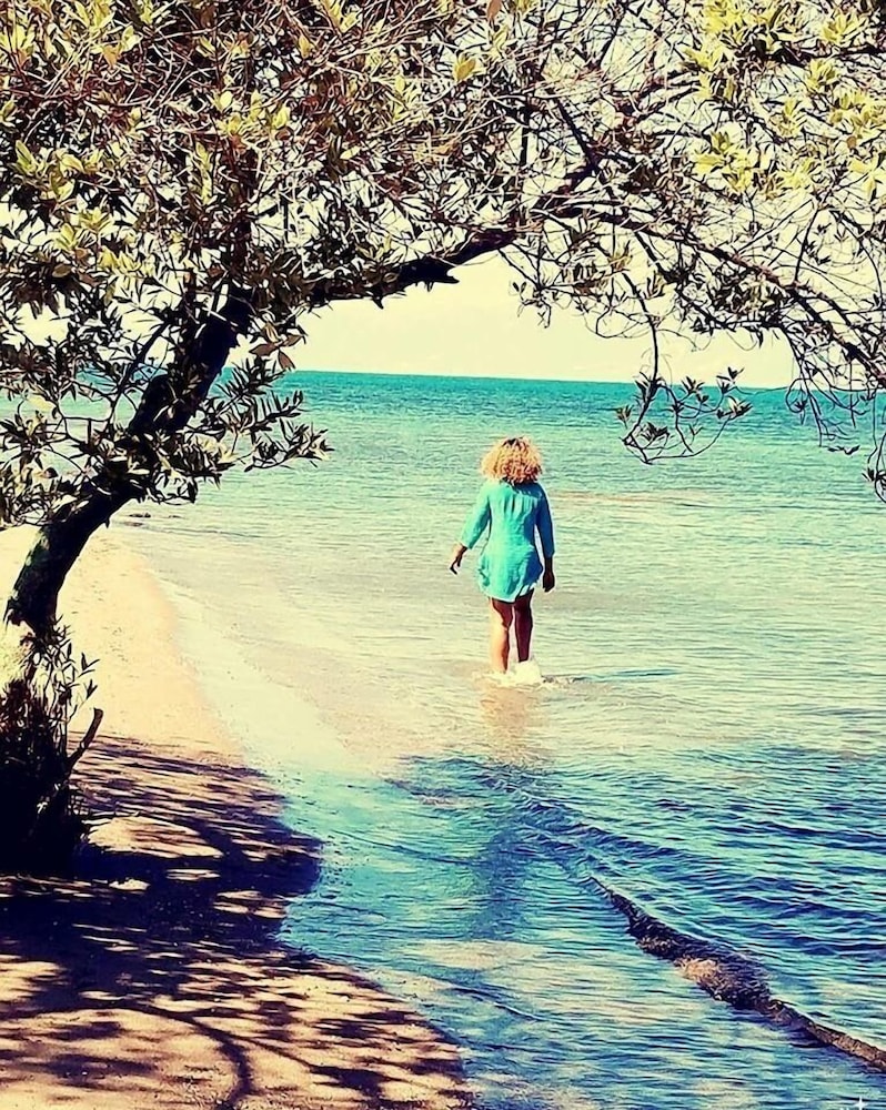 Evasion, photo 18