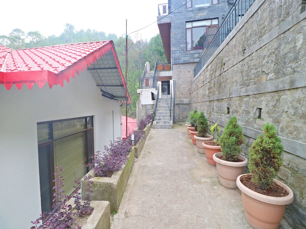Photo 12