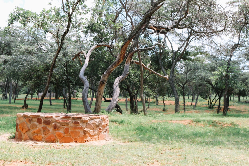 Buyskop Lodge