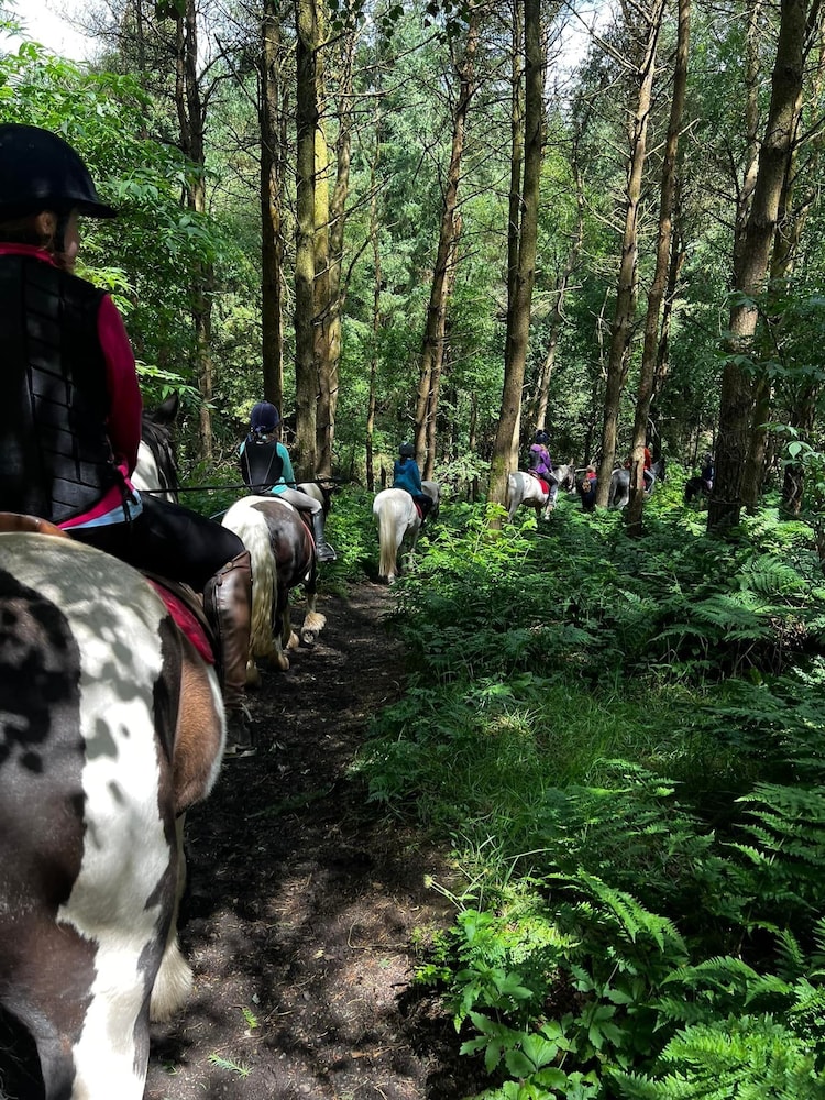 Scottish Equi B&B
