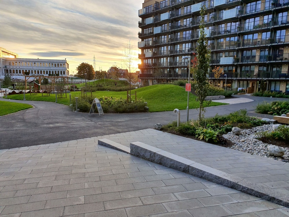 Oslo Golden Choice