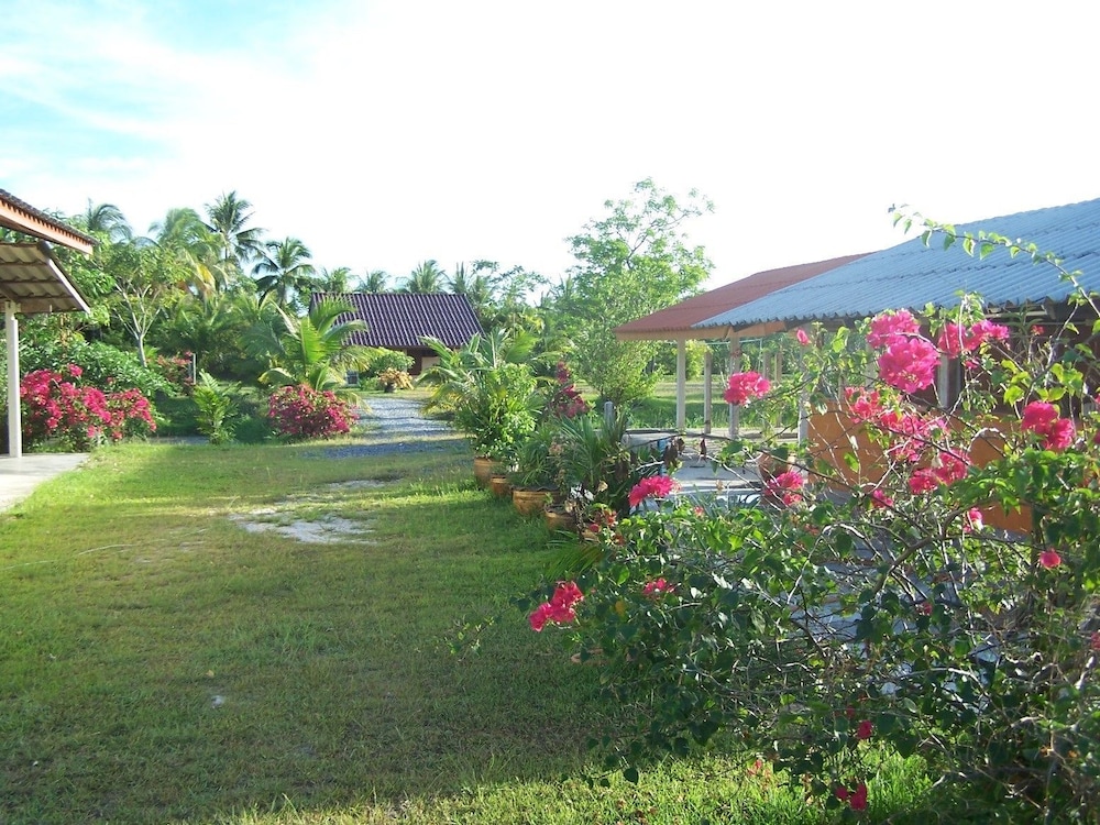 Photo 6