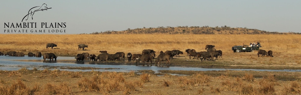 Nambiti Plains Private Game Lodge