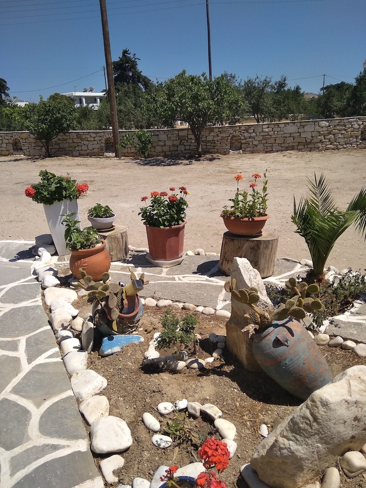 Photo 36