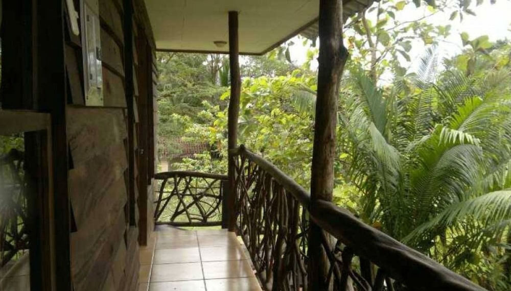 Photo 26