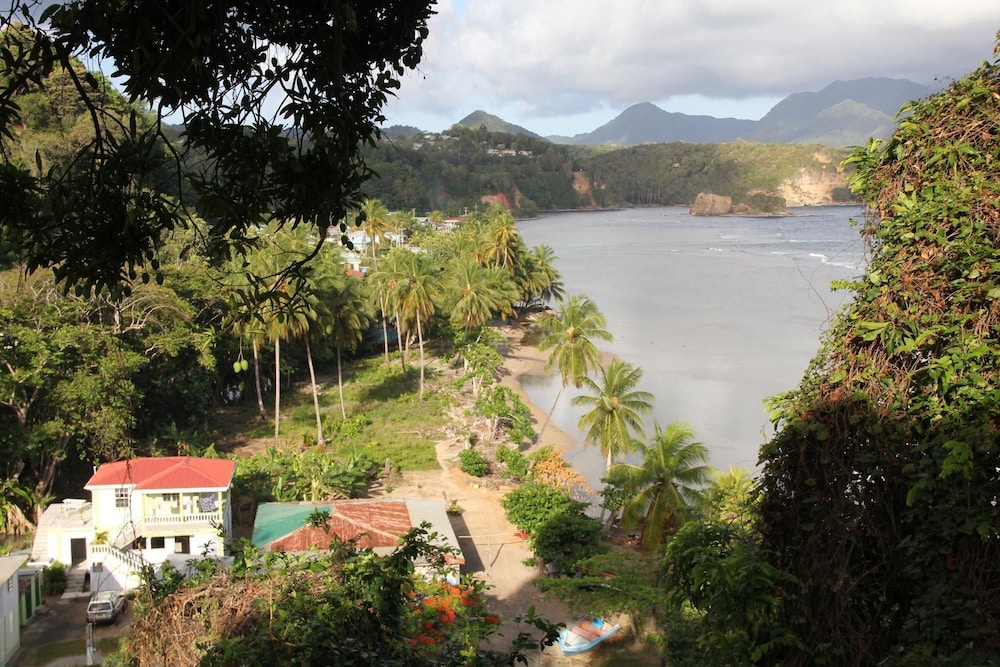 The Nixon's Bay Side Mangrove Inn