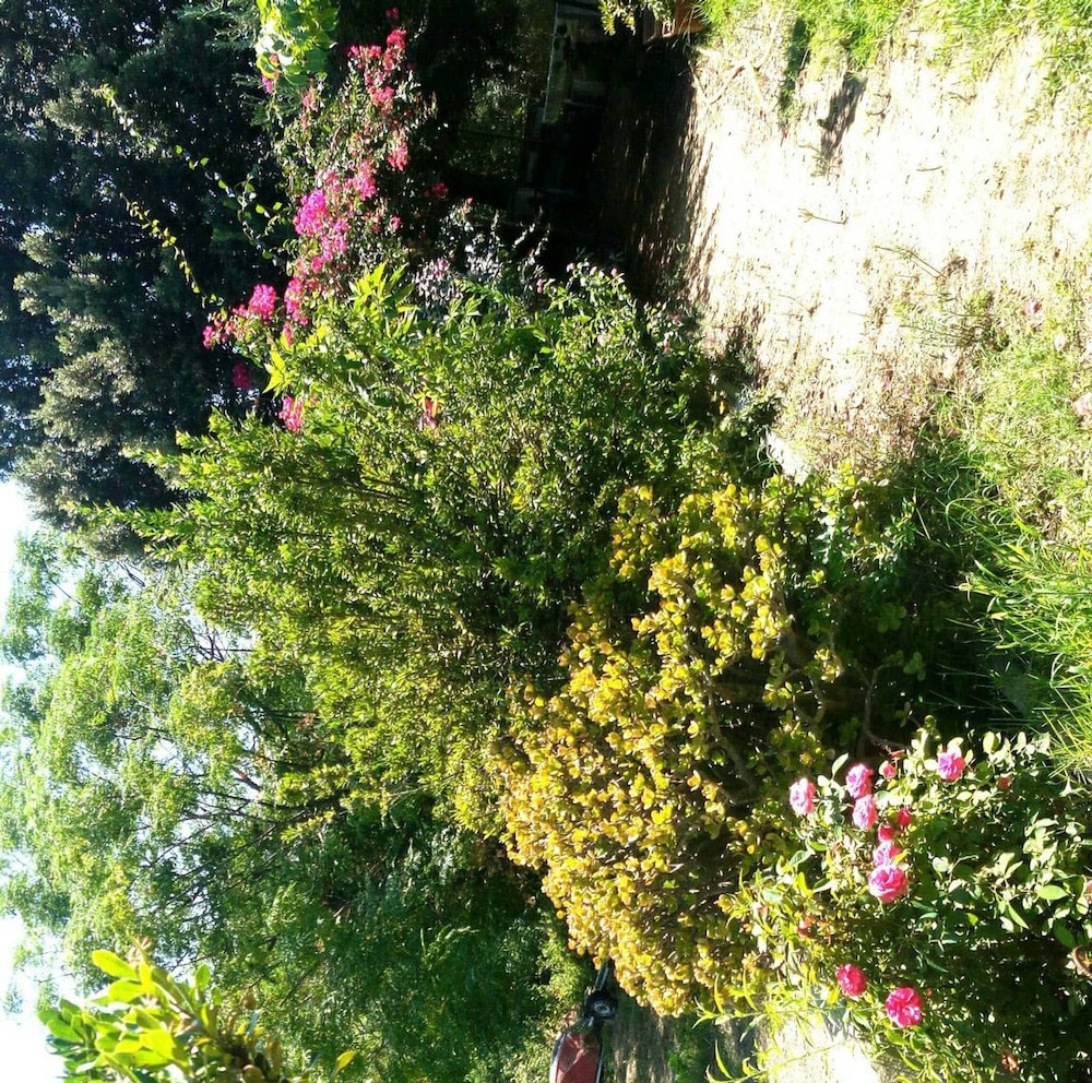 Photo 27