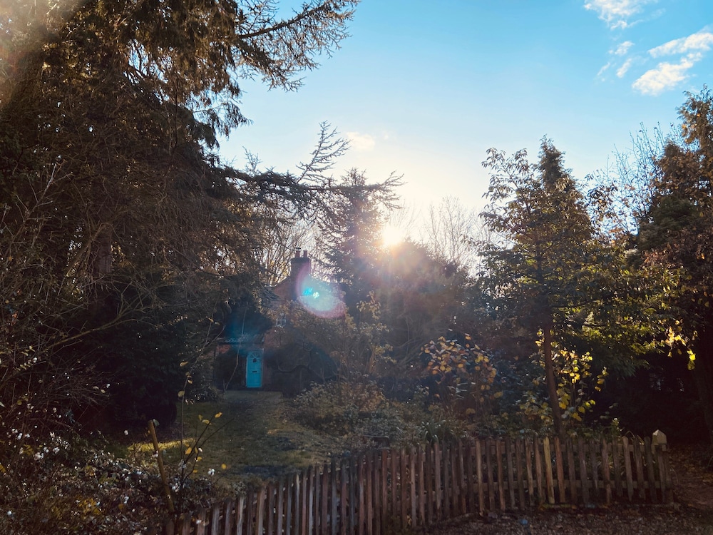 Sunny Cottage