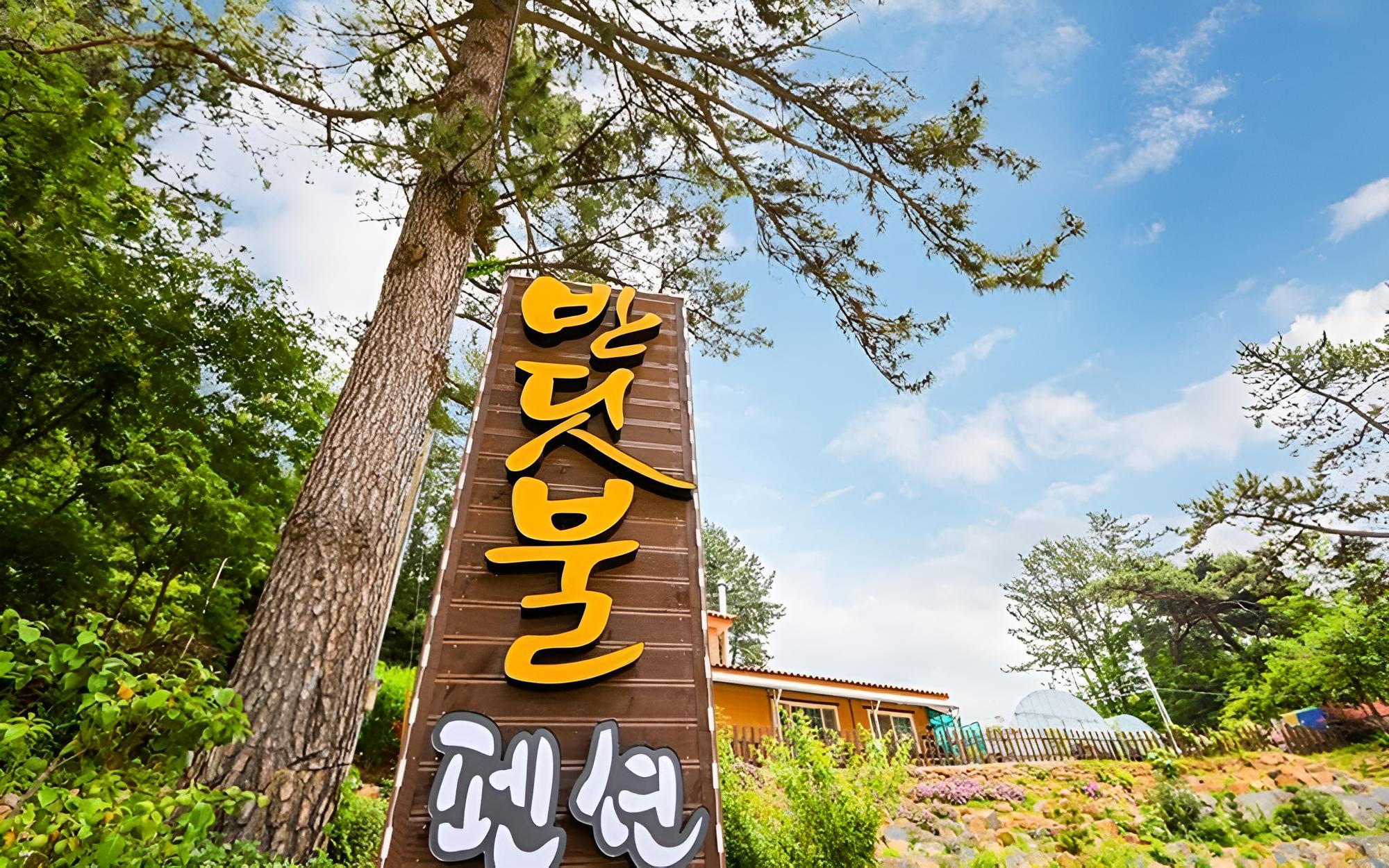 Yeosu Banditbul Hwangto Pension view 3