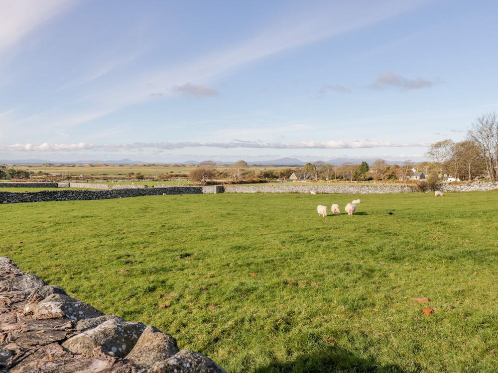 Tyddyn