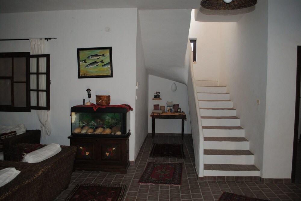 Photo 24